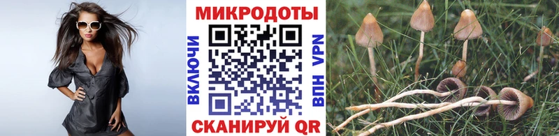 купить наркоту МЕГА ссылка Псилоцибиновые грибы мицелий Высоковск